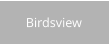 Birdsview